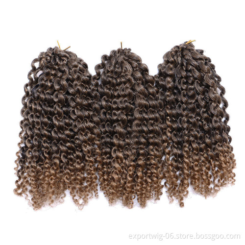 Ombre Colored Curly Hairstyle  Kinky Curly Synthetic Braiding Hair Extensions Marly Bob Crochet hair Marley Twist Braiding Hair